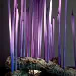 Reeds