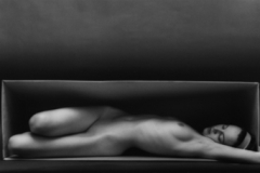 Ruth Bernhard, In the Box (Horizontal)