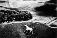 Marilyn Bridges, Cherhill Horse, Wiltshire, England