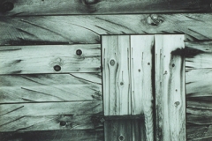 Edward Weston, Potato Cellar, Lake Tahoe