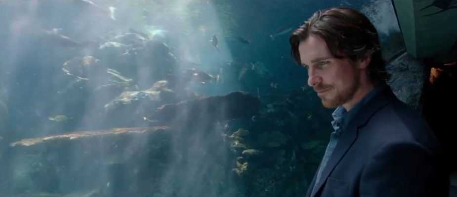 knight of cups