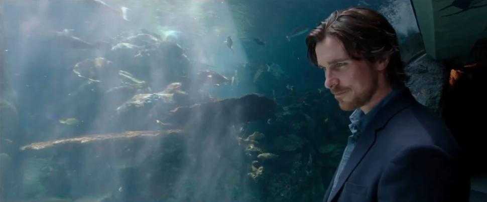 knight of cups