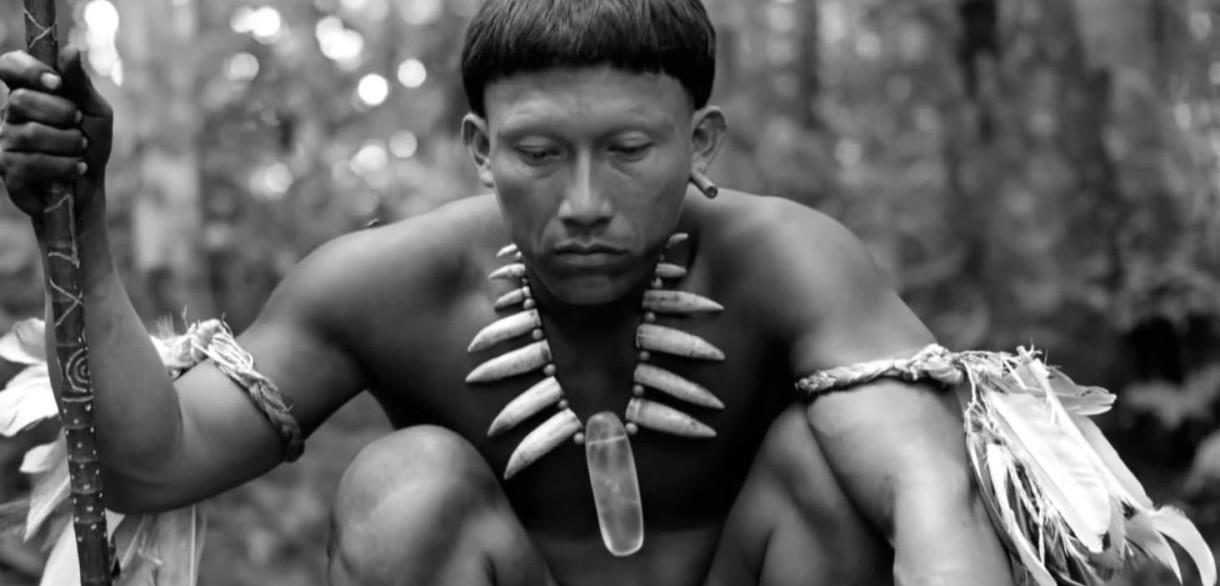 embrace of the serpent e1452881579338