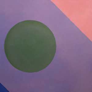 annual okcmoa report