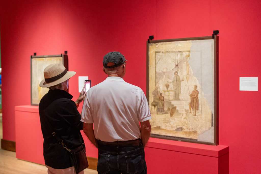Pompeii Exhibit 9544