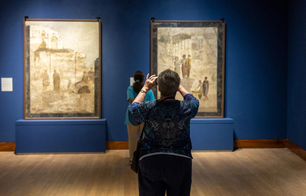 Pompeii Exhibit 9767