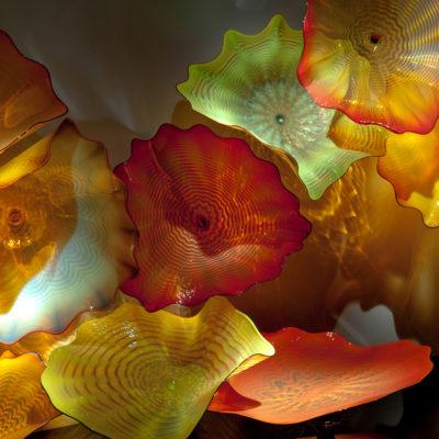 13.2 Dale Chihuly Autumn Gold Persian Wall Detail