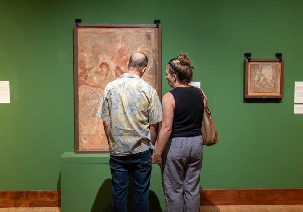 Pompeii Exhibit 9679