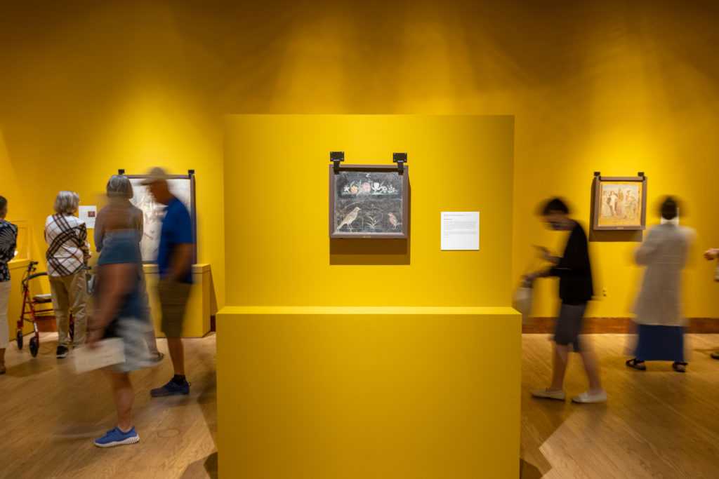 Pompeii Exhibit 9706