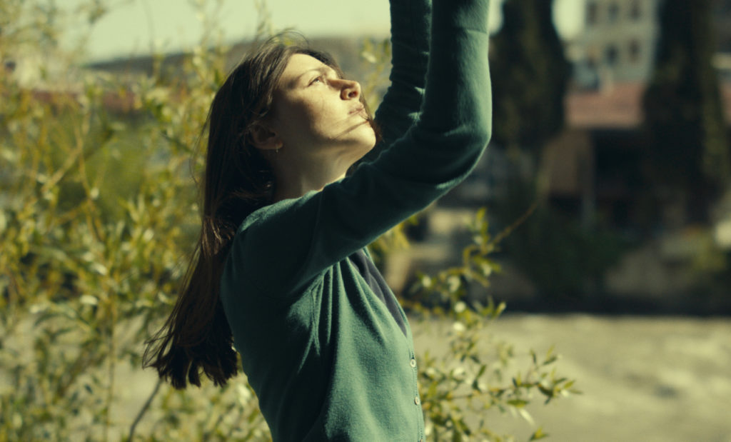 WhatDoWeSee Still 1