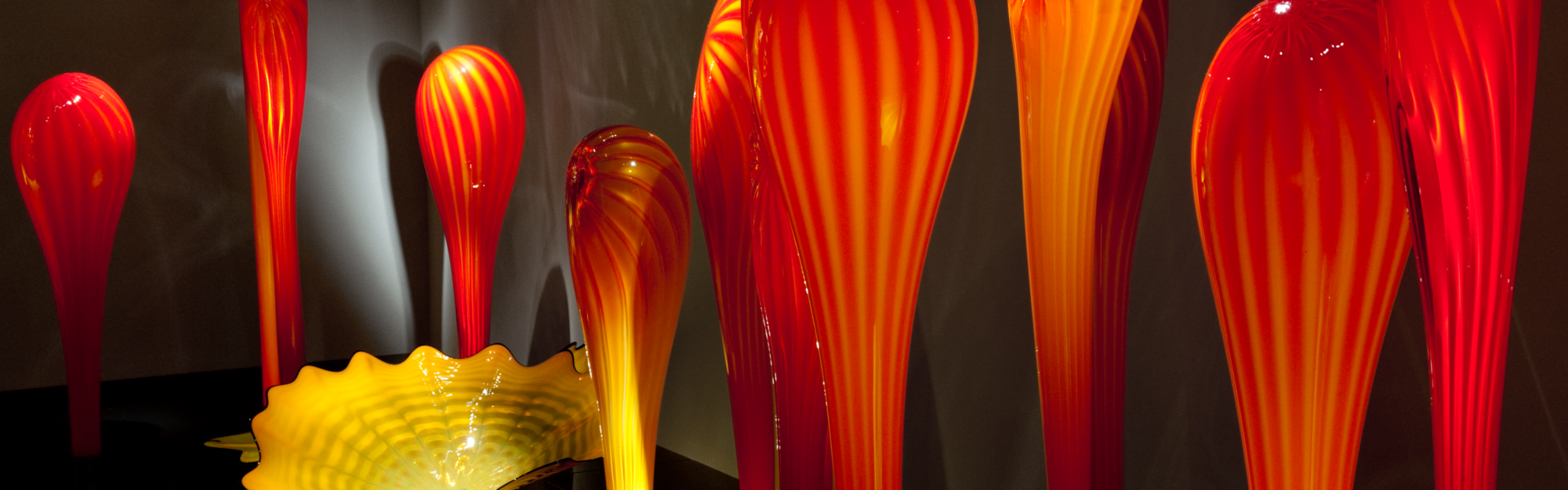 RS563 PS Chihuly Illuminations DD v22 20120117