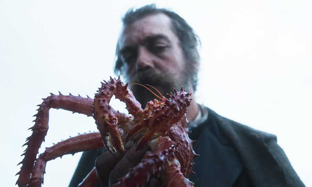 King Crab 13