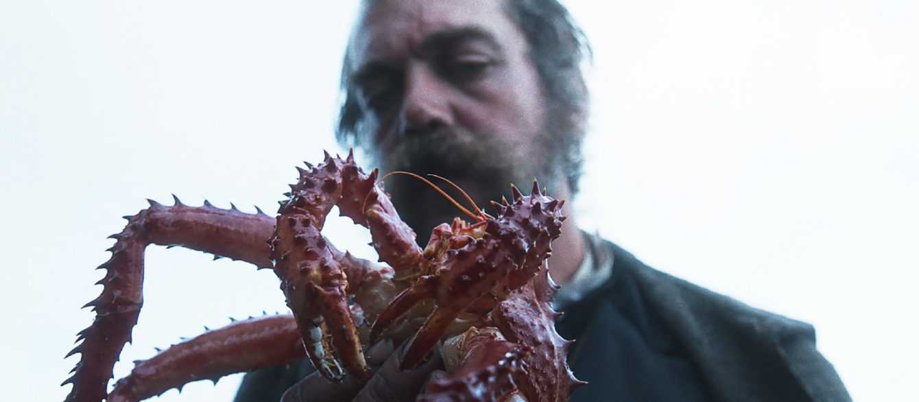 King Crab 13