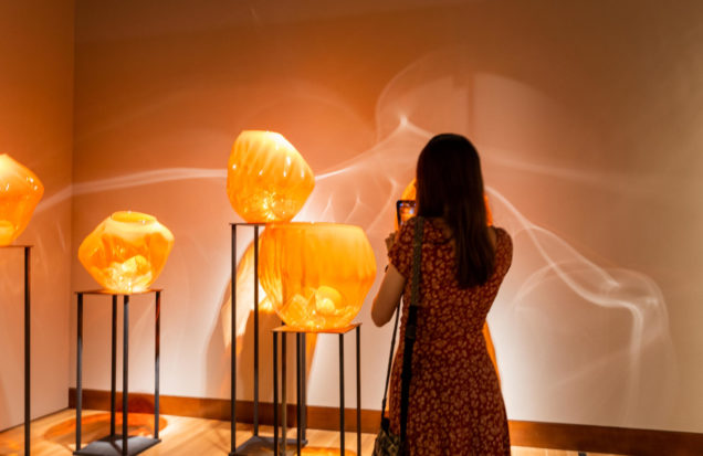 Chihuly at Twenty 43