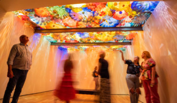 Chihuly at Twenty 48