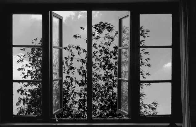 24 Frames 4