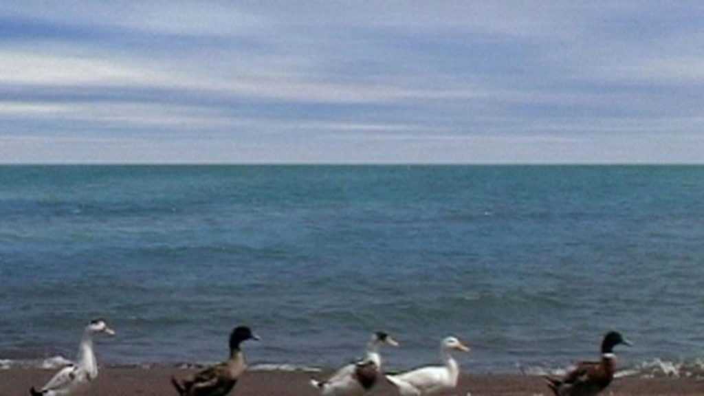 Film Still Five Dedicated to Ozu Abbas Kiarostami