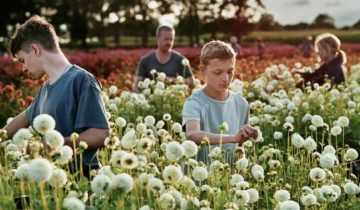 Film Still from Close Lukas Dhont Oscars 2023