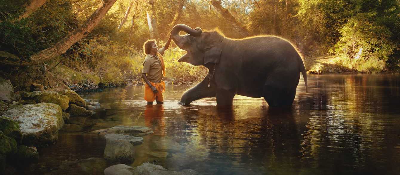 Film Still The Elephant Whisperers 2023 Oscar Shorts