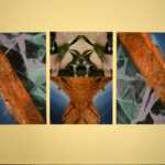 914883 Paul Reed