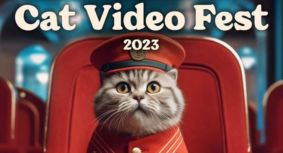 A promotional image from Cat Video Fest 2023 with a cat wearing a read hat.