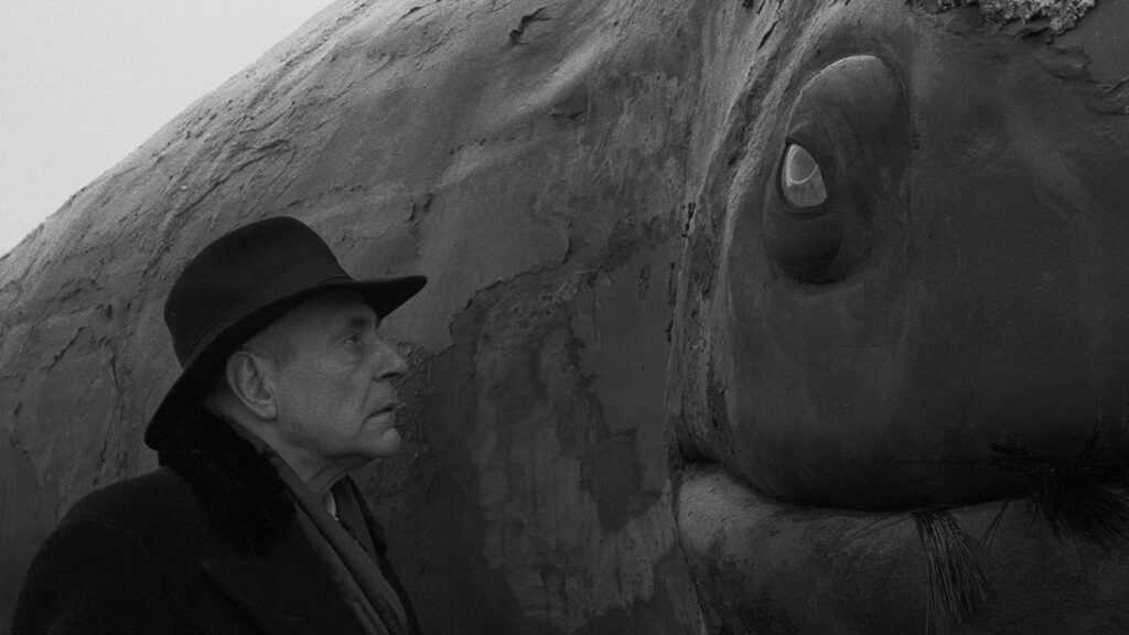A still from Werckmeister Harmonies with a man in a hat staring into the eye of a stuffed whale.