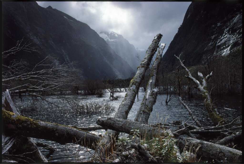 milford trek new zealand