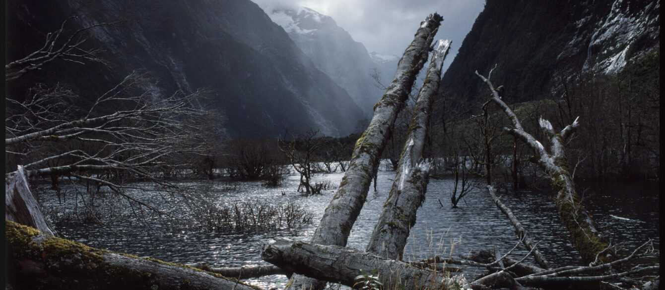 milford trek new zealand
