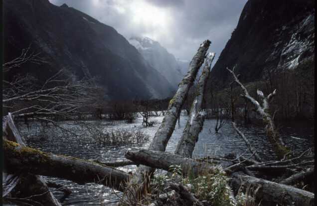 milford trek new zealand