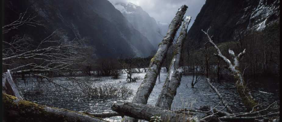 milford trek new zealand