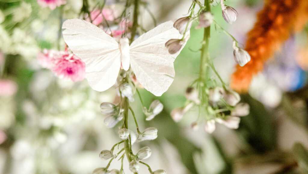 Art in Bloom, OKC Museum of Art!