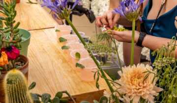 WF Botanical Cocktail Competition 25 1710