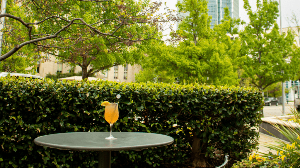 marathon & mimosas web