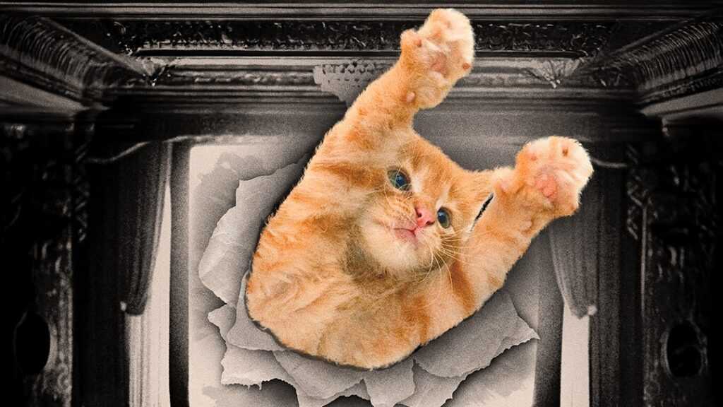 A film poser for CatVideoFest 2025