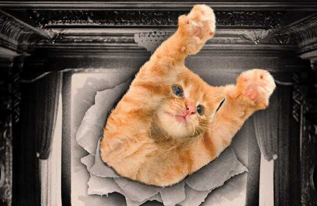 A film poser for CatVideoFest 2025