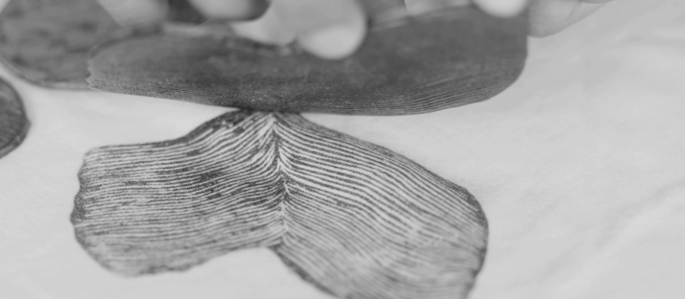 b&w nature prints