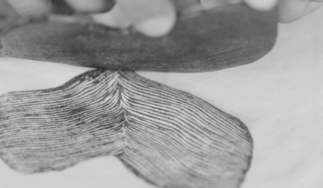 b&w nature prints