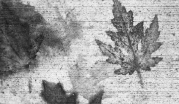 gelli prints 1