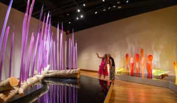 Chihuly at Twenty 51