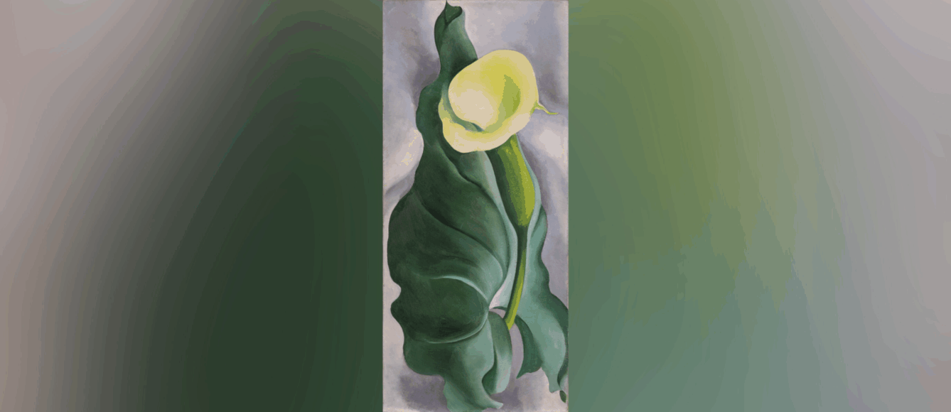 The Art of Still Life | Oklahoma City Museum of Art | OKCMOA