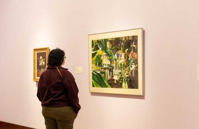 gallery (2)
