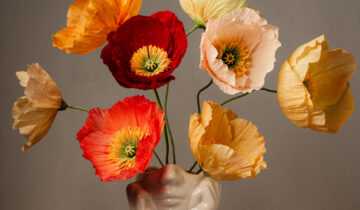 Icelandic Poppies Sample