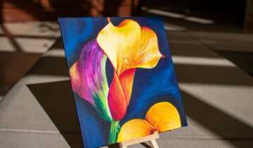 aib calla lily 4