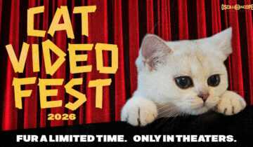 CatVideoFest 2026 Presale poster