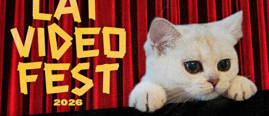 CatVideoFest 2026 Presale poster