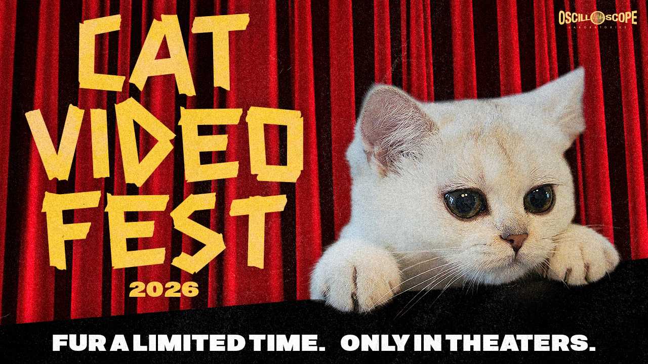 CatVideoFest 2026 Presale poster