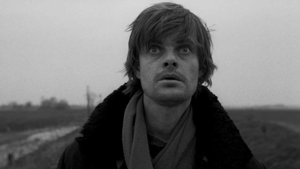 A film still from Werckmeister Harmonies