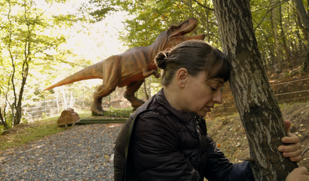 A film still from Kontinental '25