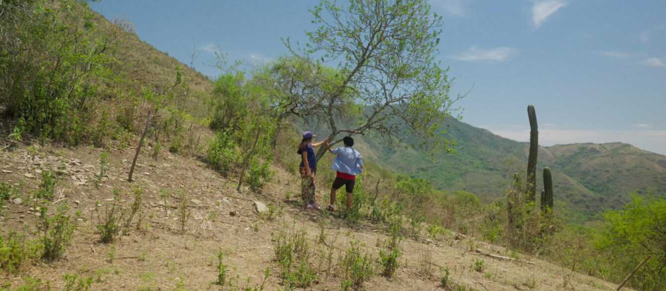 A film still from Our Land