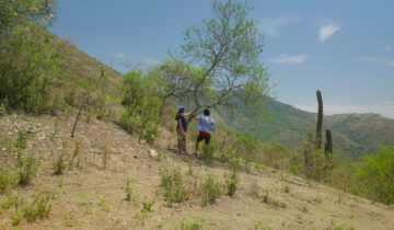 A film still from Our Land